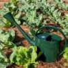 Long Reach Watering Can, Large