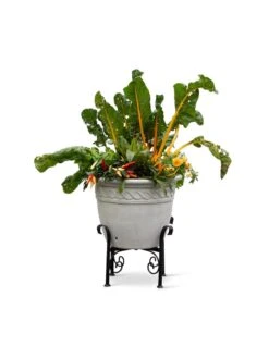 Covington Adjustable Plant Stands 18 Covington Adjustable Plant Stands -Plant Sale Shop 8613347 0119