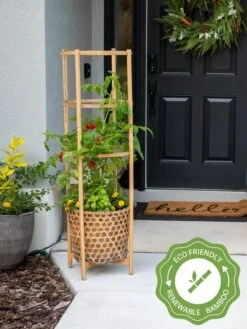 Elevated Bamboo Tomato Planter And Trellis