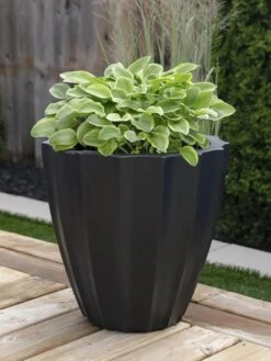 Sedona Round Planter, 18" Diameter -Plant Sale Shop 8613526 01V