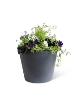 Self-Watering FiberStone Planters -Plant Sale Shop 8613676 8645