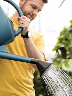French Blue Watering Can -Plant Sale Shop ChrisAhrensSquare 0118 tif