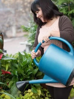 French Blue Watering Can -Plant Sale Shop EmilyHoangSquare 0151 tif