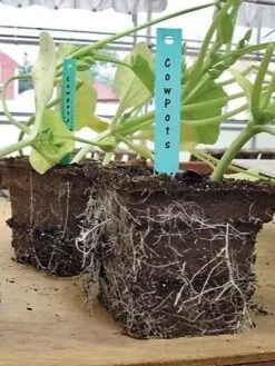 2-3/4" Square Cowpots 6-Packs, Set Of 4 -Plant Sale Shop GS37034 05