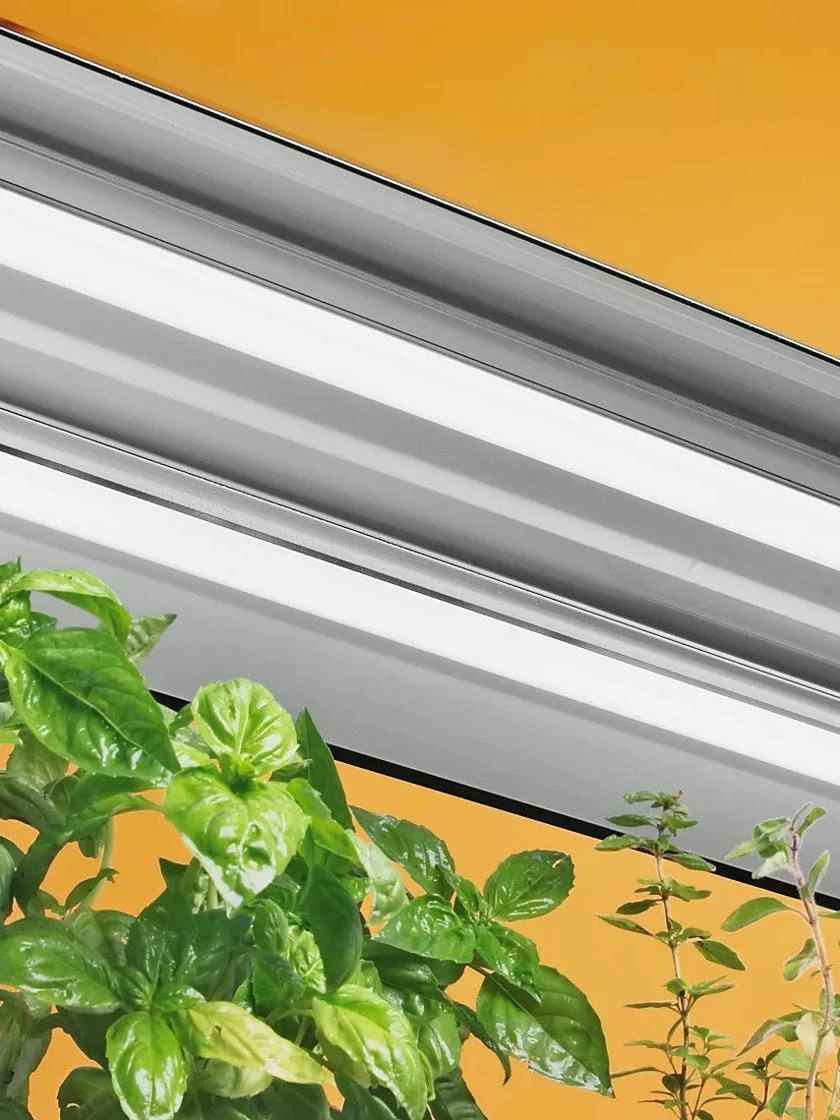 T5 Light Fixture 1 T5 Light Fixture