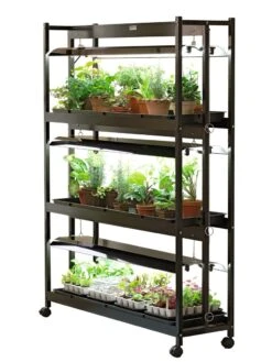3-Tier Sunlite® Garden 9 3-Tier Sunlite® Garden -Plant Sale Shop GS39357 001E psd
