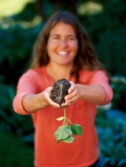 Deep Root Seedstarting System, Black -Plant Sale Shop GSCOVSPR06D2 01