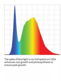 Tall Bamboo LED Grow Light Garden 17 Tall Bamboo LED Grow Light Garden -Plant Sale Shop LED ColorSpectrum grid PDP 23