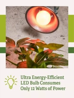 Miracle LED® Absolute Daylight™ Max Flowering Grow Light Bulb 9 Miracle LED® Absolute Daylight™ Max Flowering Grow Light Bulb -Plant Sale Shop Miracle Daylight Bulb 2