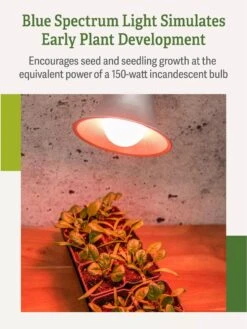 Miracle LED® Absolute Daylight™ Max Flowering Grow Light Bulb 11 Miracle LED® Absolute Daylight™ Max Flowering Grow Light Bulb -Plant Sale Shop Miracle Daylight Bulb 4